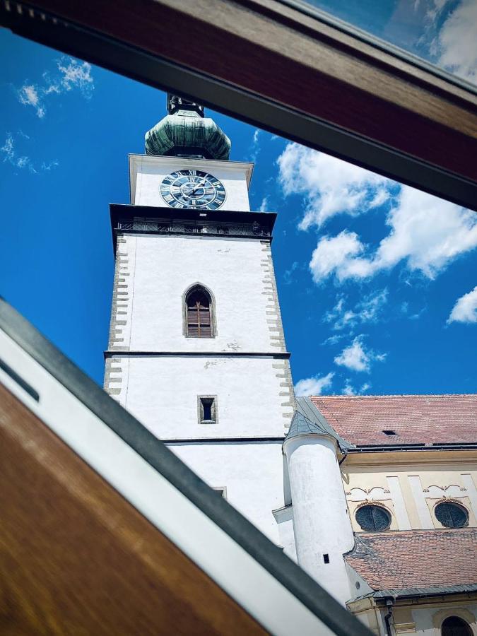 TřebíčDemaris住宿加早餐旅馆 外观 照片