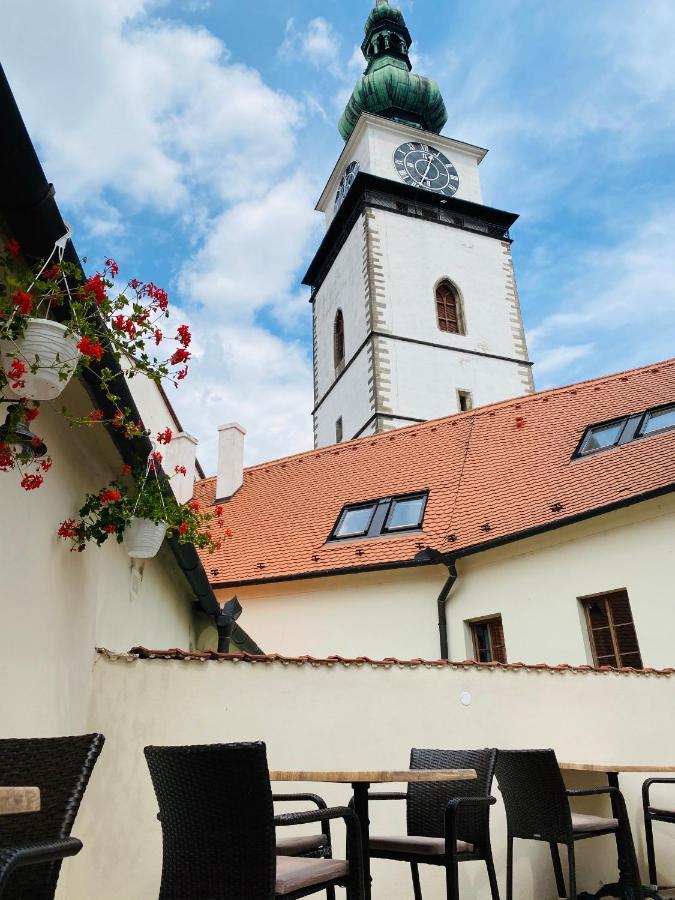 TřebíčDemaris住宿加早餐旅馆 外观 照片